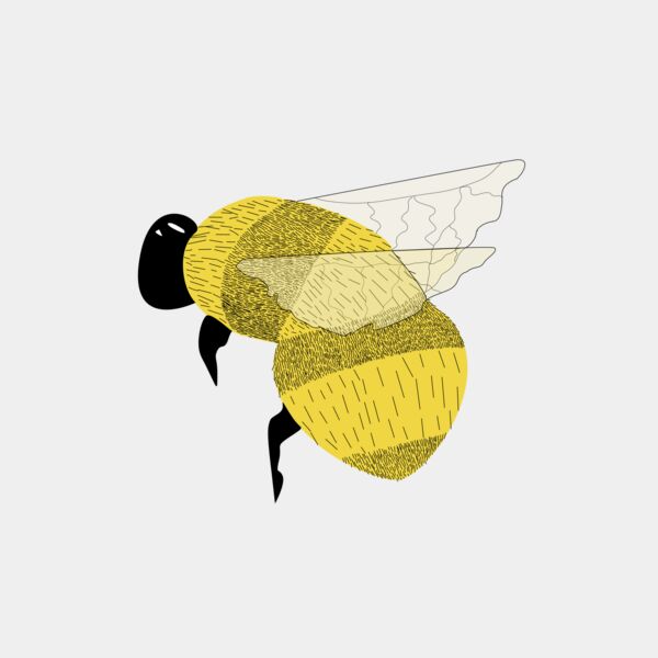 3177CFD2 C5EA 4C01 ABBD F7626487DE06 Thumbnail